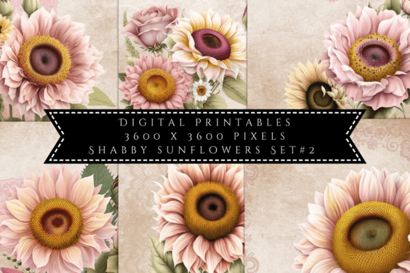Embrace Vintage Charm with Shabby Sunflowers Illustrations Set 2